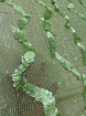 Imagine Broderie cu margele si paiete verde mint